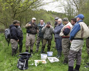 11 kw Rye course 1.5.16