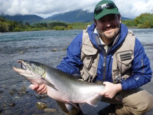 Chinook - Petrohue River, Chile - February 2013