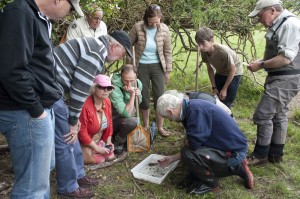 Sorting a fauna sample, River Dibney