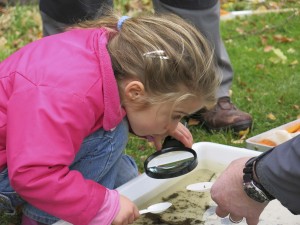 A young Freshwater Detective