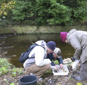 ....slightly older Detectives hard at work!